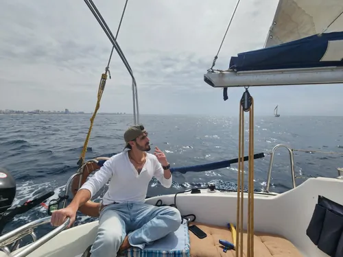 כריש שוחה לעד