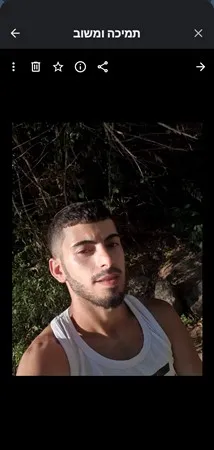 אילון כמו מילון