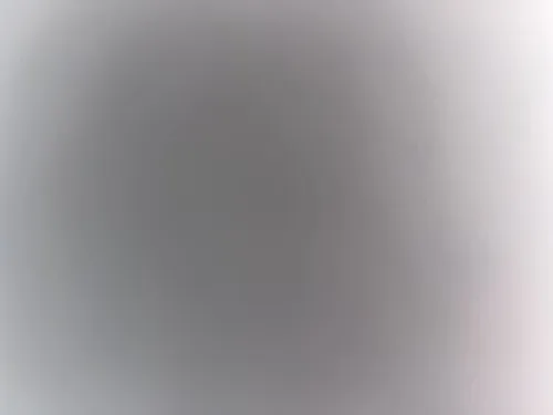 שקד שמוליק
