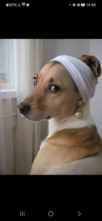 ThrMailMan