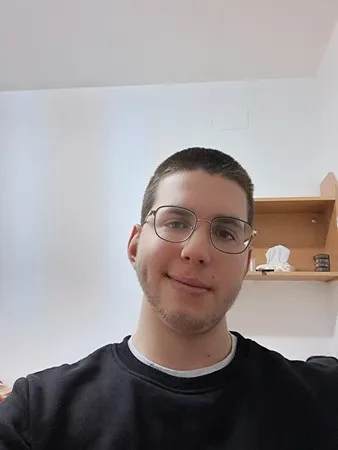 אריה מ