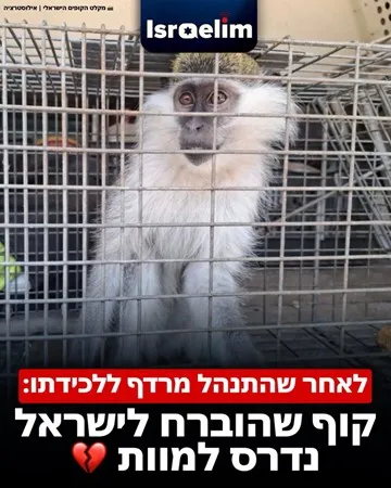 המלכה השולטת בי