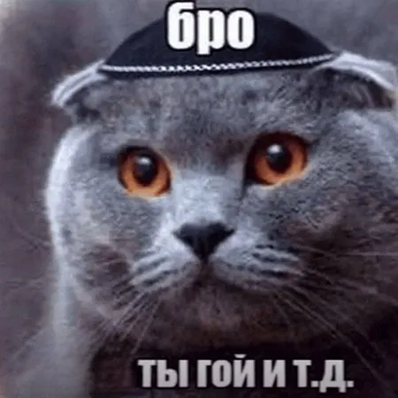 אריאל86