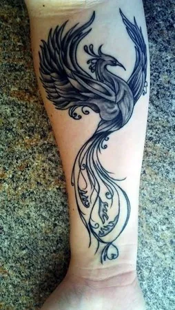PhoenixPro