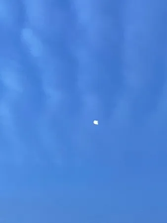 זין ענק תימני