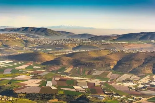 רקדן אוטומטי