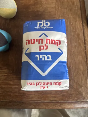 דן33333