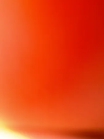  אלימלךגוני