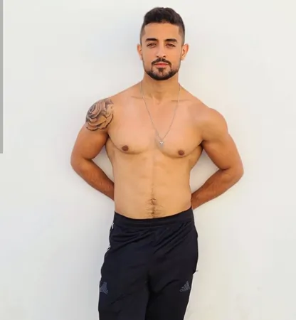 מלך במיטה2008