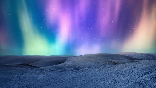 תולש מהלוח דף 