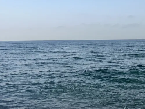 מחפש שליטה 1