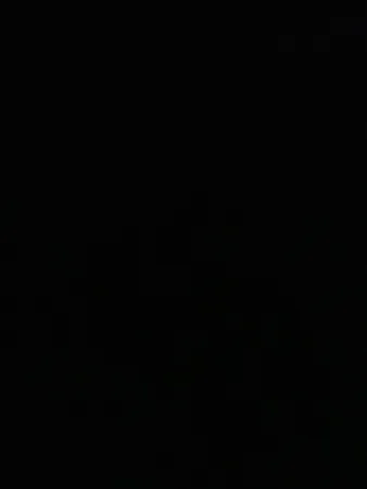 אריה009