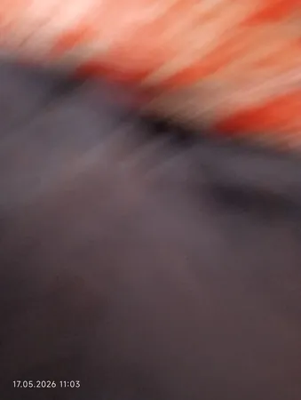 משה חע