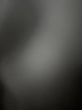 Mosa1222