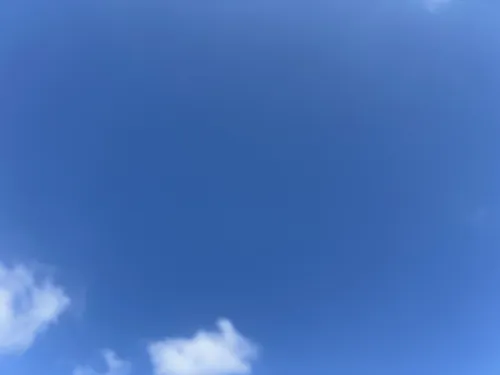 שיבשי 