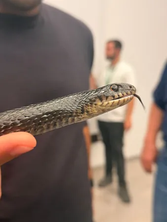 צעיר ורעב1