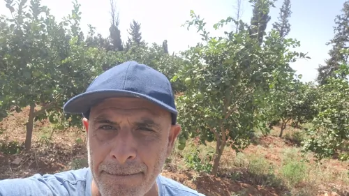 חותר לעבר האופק