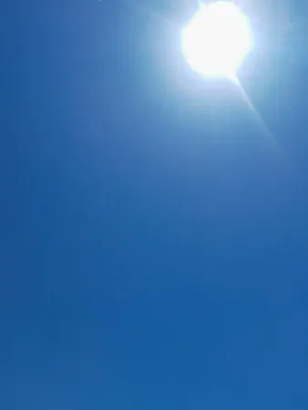 השוקולד שלך....