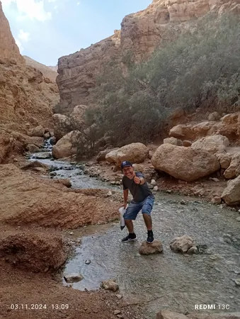 החיים הם תותים