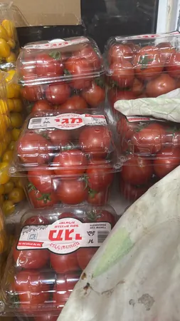 לביא123