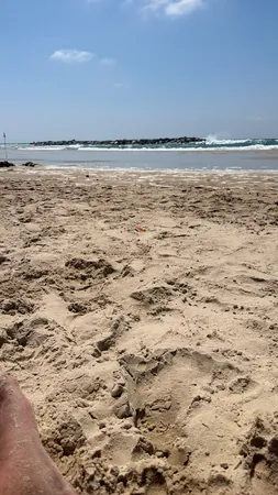 הראל המשתולל