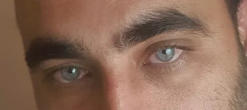 Ani v he