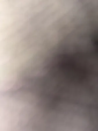 Yalico