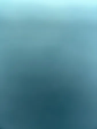 חכמגוביגמגן