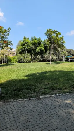 שולטגבעתייםצעיר