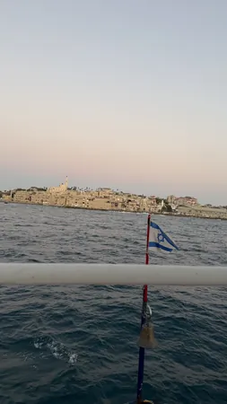 אמיר8456
