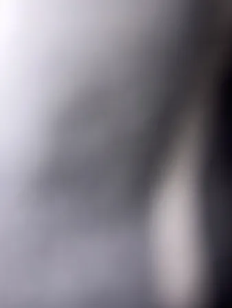 Avivm121212