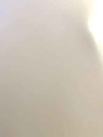Ali1212