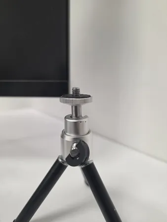 Dudu629
