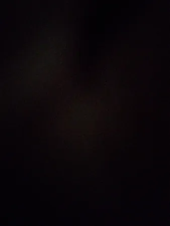 Hgdwgjj